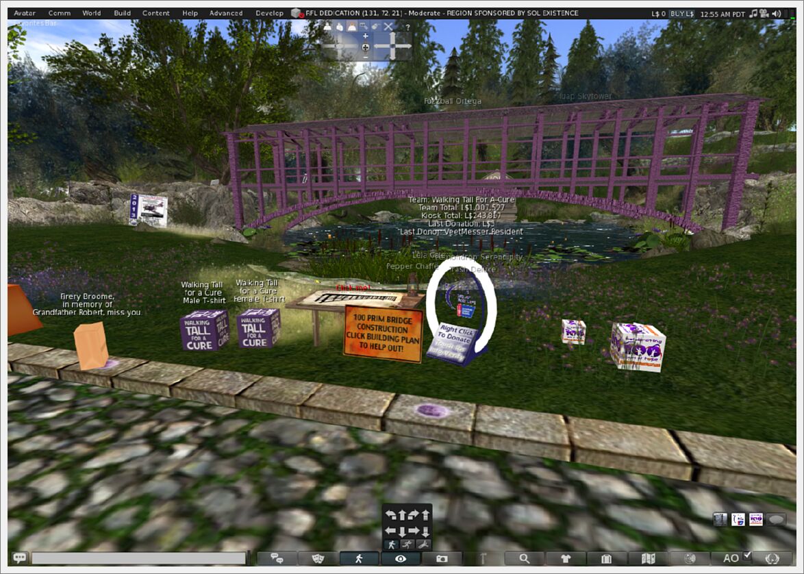 Relay 2013 B - (83)